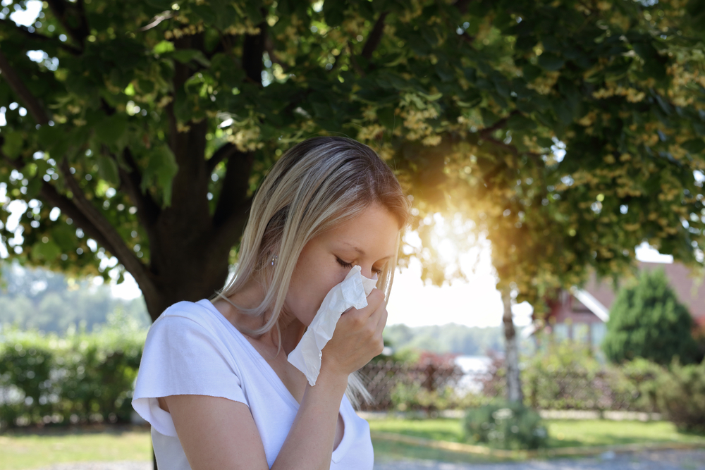 uk-drivers-taking-hay-fever-medication-risk-violating-laws-matrix