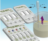 Multidrug Testing Cards | Matrix Diagnostics